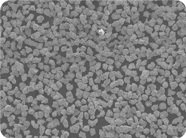 Micron Coating