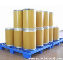 CHLORELLA 