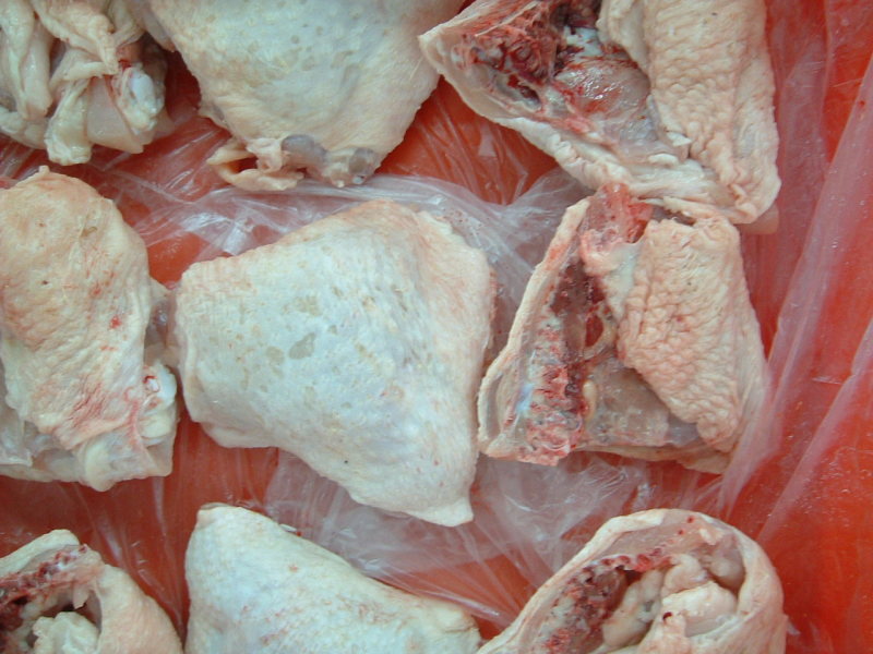 chicken