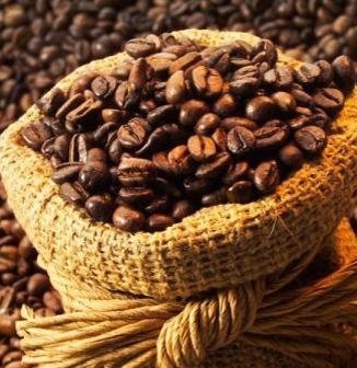 Cocoa beans