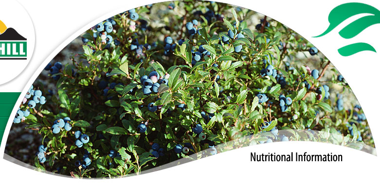 blueberries