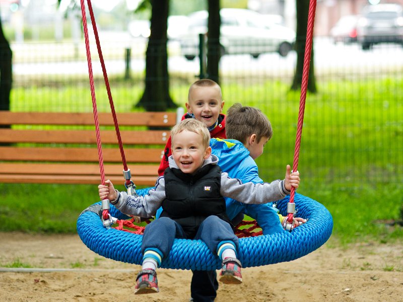 Bird's Nest Swings