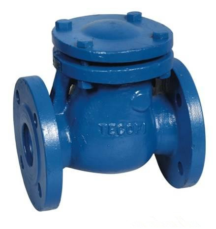 Swing Check Valve