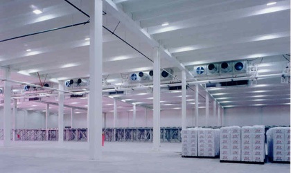 Air cooler