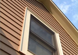 Cedar siding (cedar cladding or clapboard)