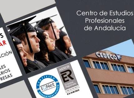 Educational advisers