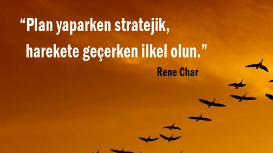 Custom software development mga serbisyo