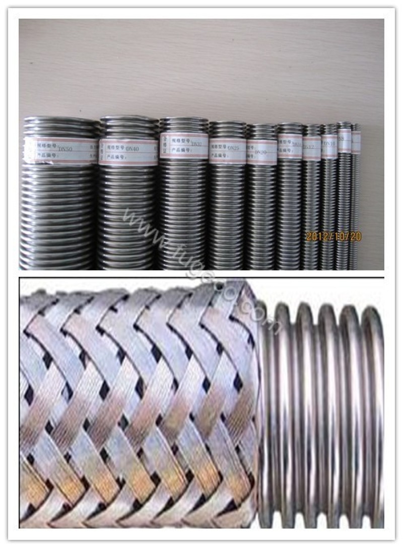 Annular hose with braid/without braid