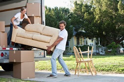 Removal services