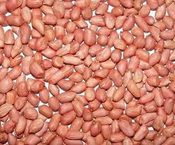 Kacang dan biji