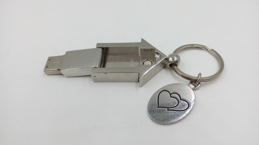 House usb flash disk 