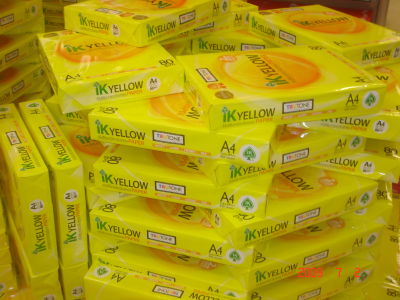 IK Plus Multi Purpose Copy Paper A4 80GSM