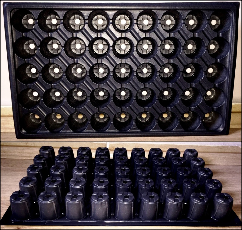 seedling tray