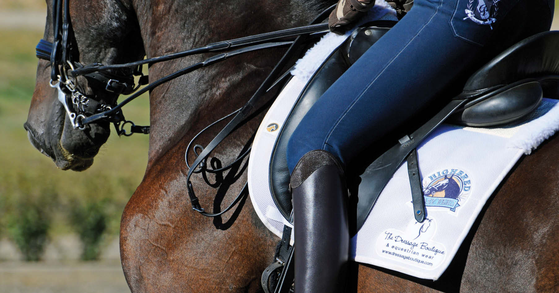 Highbred Easy Feed System Advantages