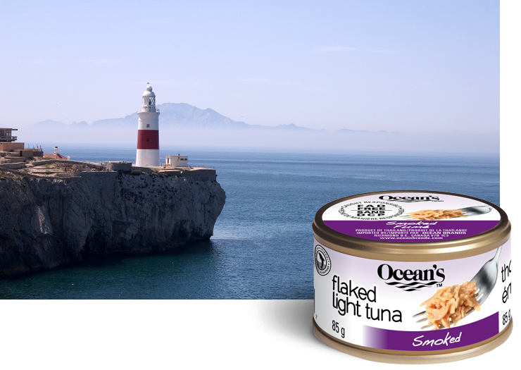 Canned tuna