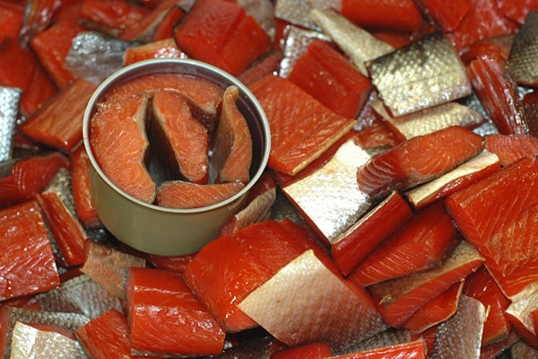 Canned salmon