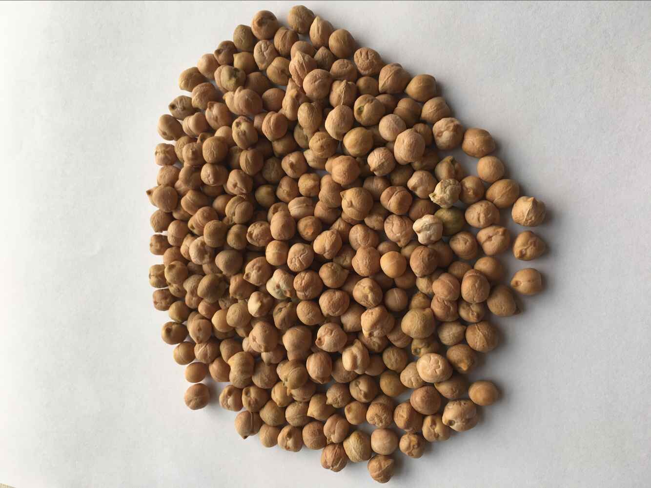 chickpeas