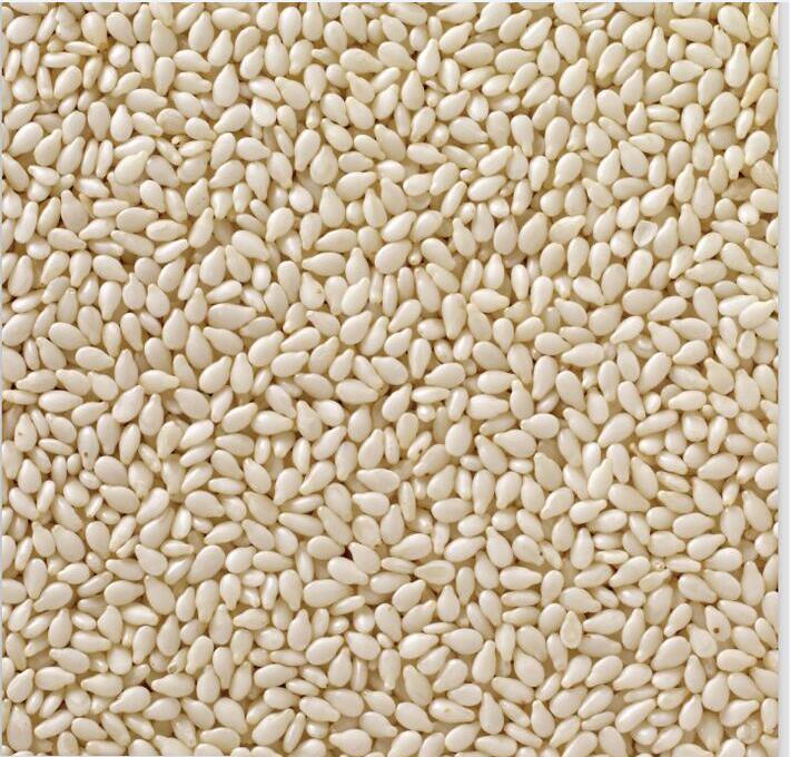 sesame