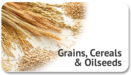 grains-cereals-oilseeds