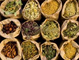 Plants and herbs, medicinal