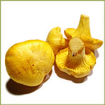 Sampioene