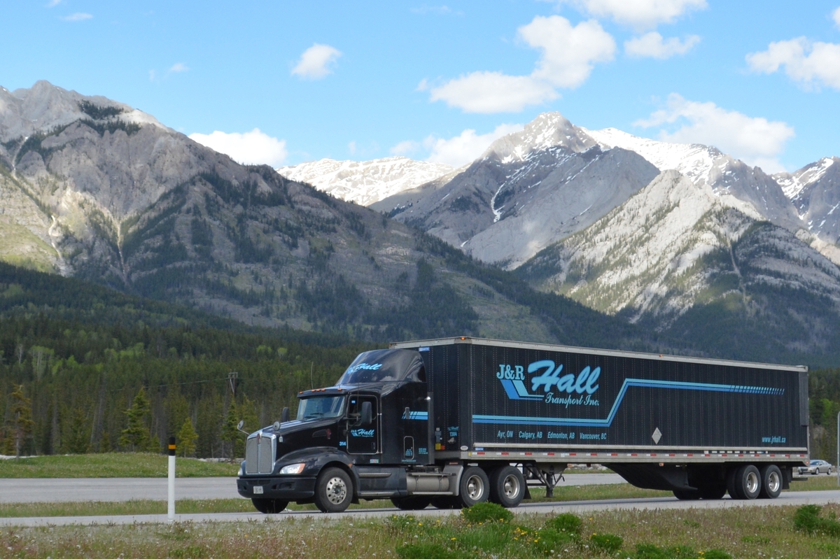 Road transport services