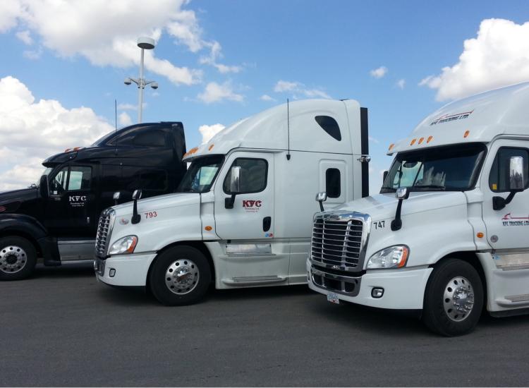 Road transport services, freight