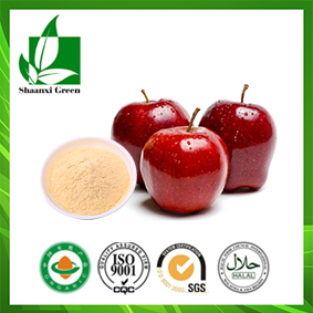Apple Powder