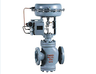 Double seated globe control valve