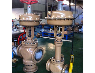 Cage guided globe control valve