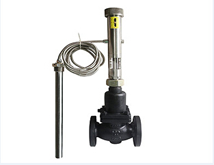 Self operated Temperature Regulator
