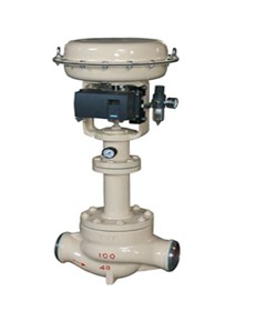 Small Port Single Seated Control Valves