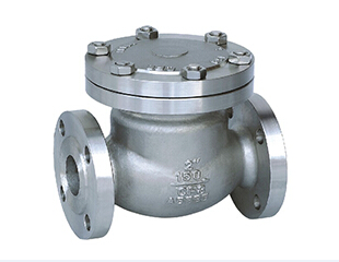 Swing Check Valve