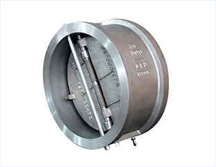 Wafer Check Valve