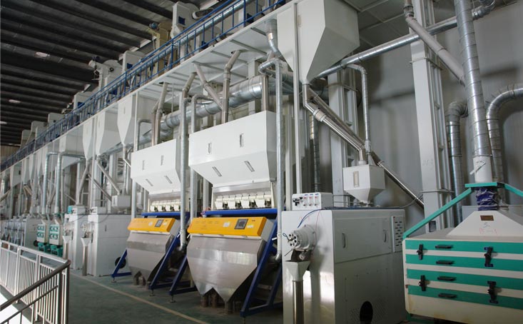 Rice Sorting Machine