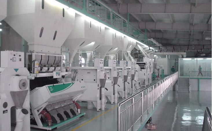 Rice Polishing Machine