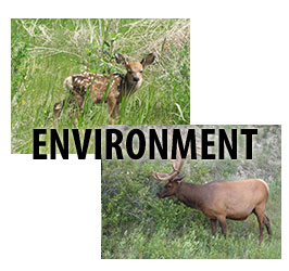 GREEN TREE RESOURCE CONTRACTING