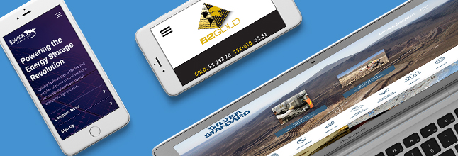 Website disinn
