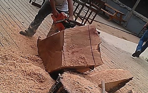 Дрво-сечење услуге