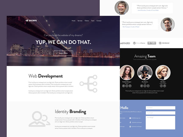 Web Design and Website Development with SEO ready and Mobile Friendly