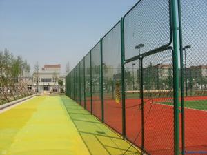 Galvanized Chain Link Fence 