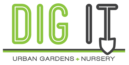 Wholesale Plant Nursery