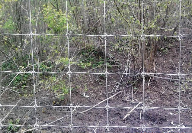 Hinge Joint Steel Field Fence
