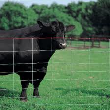 Square Deal Field Fence