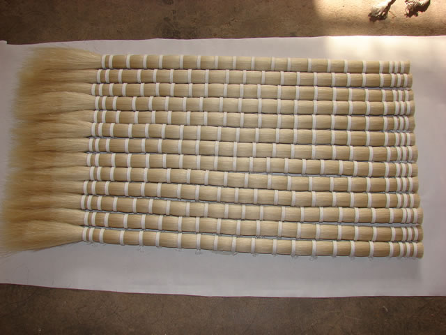 Horse Tail Hair