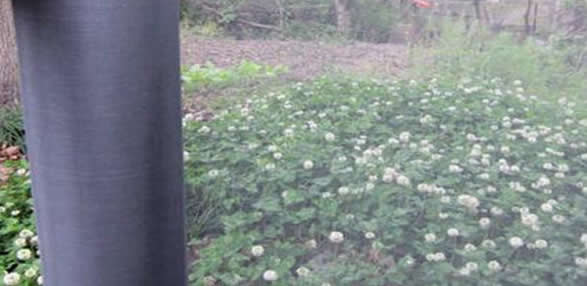Պլաստմասսայից արտադրանք - Տարբեր