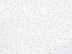 fiberglass ceiling tiles