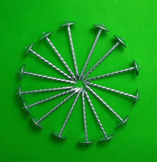  Twisted Shank Nails