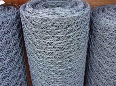 Chicken Wire Mesh/Florist Wire Netting/Galvanized Hexagonal Wire Mesh Netting
