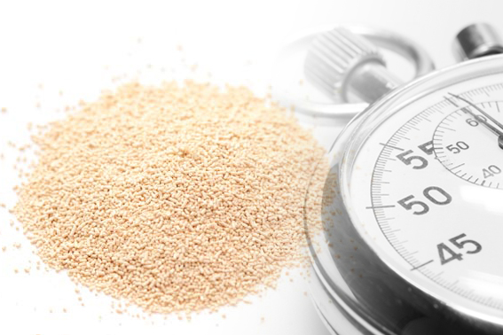 TY24 - Fast Fermenting Turbo Yeast